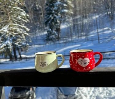 Bakuriani House | Snow Cottage Bakuriani