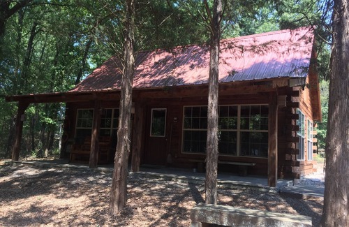 Scranton Cabin | Experience Snow's Log Cabin on Lake Dardanelle - Guest Rated 9.8