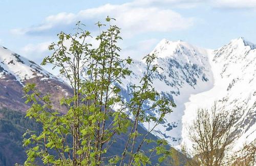 Alyeska Ski Chalet | Cozy Snowbird Chalet #8: Pet & Child Friendly Retreat