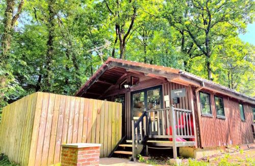 Llanybri Ski Chalet | Discover Snowdrop 9: Hot Tub Retreat in Pembrokeshire