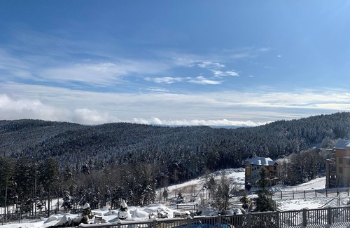 Snowshoe Condo | Top-Rated Snowshoe Retreat: 2BR, Family-Friendly Amenities