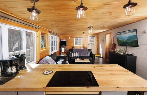 Sevierville Cabin | Angel Eyes View: Enjoy Free Attraction Tickets & Spa Access