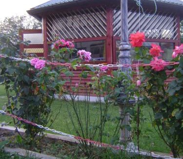 Hadzici House | Pet-Friendly Guesthouse Hadžići with Family Amenities
