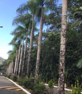 Porto Novo House | Explore Sobrado Condominio Park Imperial: Pet-Friendly Retreat