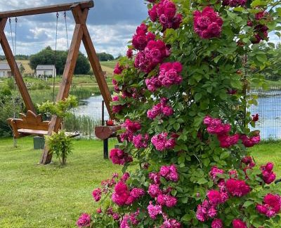 Vilnius County Villa | Island Escape at Villa Lotus: Guest Rated 10/10 with Oceanfront