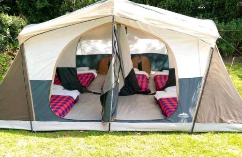 Naivasha Other | Unforgettable Stay at Sofa Camp Naivasha - 10/10 Rated!