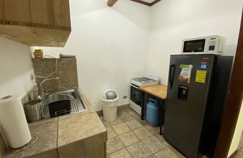 Carmen Apartment | Explore Sofia Apartments: Pet-Friendly Stays in San Jose