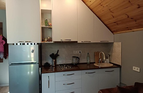 Bakuriani Apartment | Experience Sofia Snow Forest in Bakuriani: Pet-Friendly Stay