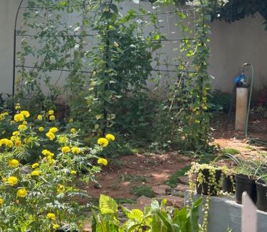 Mysore House | Sogni D oro