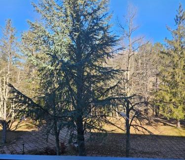 Pescasseroli Apartment | Sogno di montagna