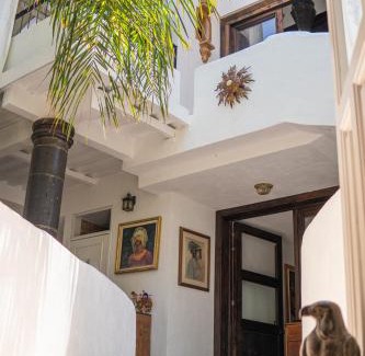 Zitacuaro Hotel | Pet-Friendly Comfort at SOLACHE INN - 4-Star Retreat