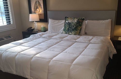 Downtown Hotel | Inviting Sole Inn and Suites with Oceanfront Views