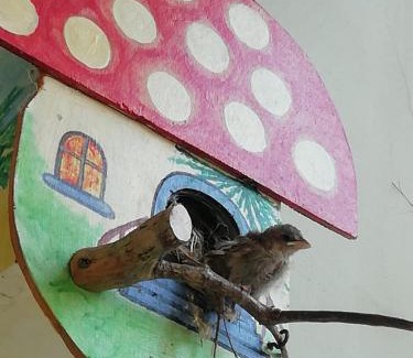 Pontecagnano Apartment | Pet-Friendly Haven: Sole Sica with 9.8 Guest Rating