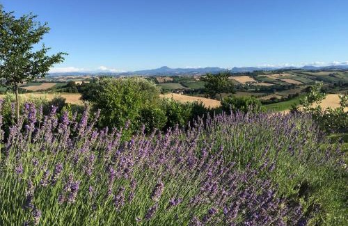 Ripe House | Elegant Solea Relais di Charme - Adults Only Retreat