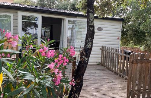 Rocbaron Other | Pet-Friendly Soleiluna with Pool & Family Amenities