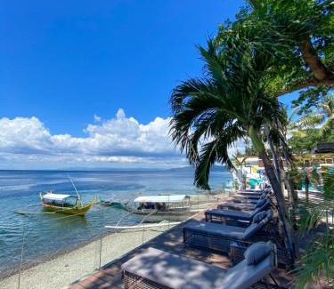 Mabini Hotel | Relax at Solitude Acacia Resort with Oceanfront Views