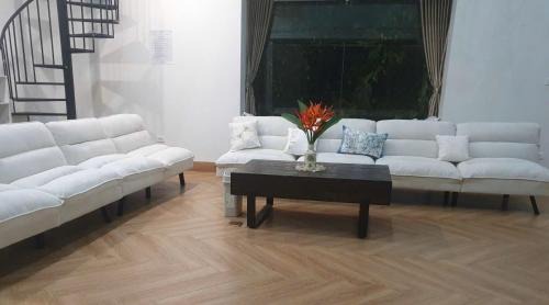 Luong Son Cabin | Solmist Villa