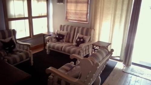 Kareedouw House | Discover Soloko Game Farm: Family-Friendly with a Pool