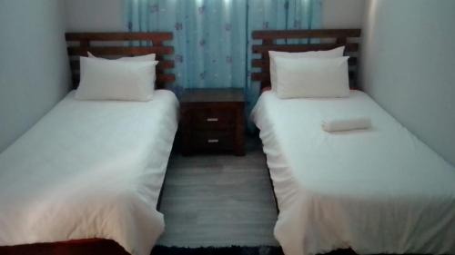 Kareedouw House | Discover Soloko Game Farm: Family-Friendly with a Pool