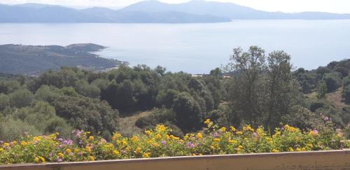 Cargese House | Oceanfront Soluna: Pet-Friendly Retreat with 9.5 Rating