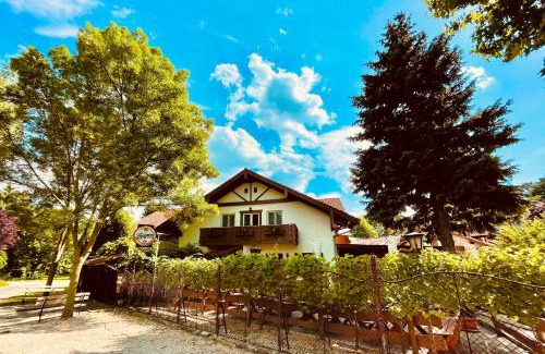 Balatonfoldvar Bed & Breakfast | Pet-Friendly Sommer Panzió with Pool & Breakfast Included
