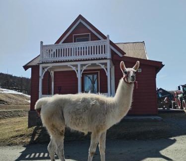 Holtalen House | Pet-Friendly Escape at Sommerstue Hessdalen - Great Reviews!