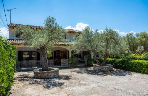 Alaro House | Son Fransi Alaro