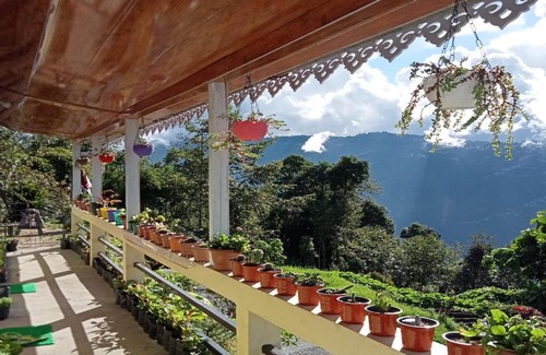Lebong and Mineral Spring Tea Garden House | Family-Friendly Retreat at Sona Homestay by StayApart