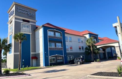 Houston Hotel | Explore Welcoming Hotels in Houston, TX with Family Amenities
