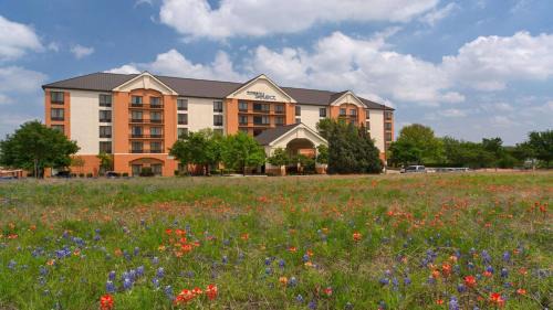 St. Johns Hotel | Discover Sonesta Select Austin North Central: Pet-Friendly Comfort