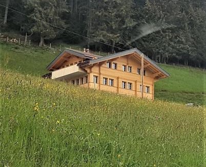 Adelboden Apartment | Sonnen-Panorama