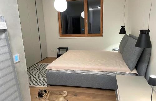 Sonnenalpe Nassfeld Apartment | Sonnenalpe Nassfeld Allegra Joy