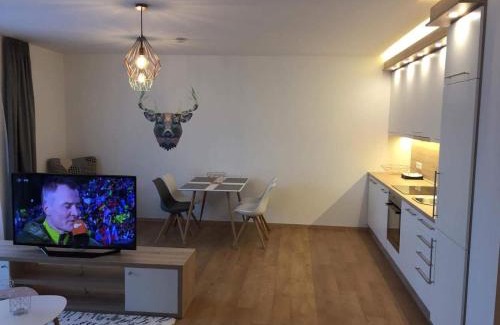 Schladming Apartment | Inviting Sonnenhang Studio & Design Apartments for Families