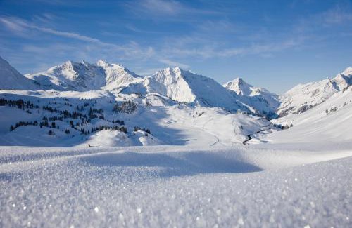 Schroecken Apartment | Discover Sonnenhof Appartements: Family-Friendly Retreat