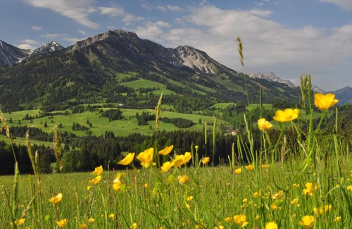 Bad Hindelang Apartment | Discover Sonnenpark: Your Cozy Retreat in Allgäu