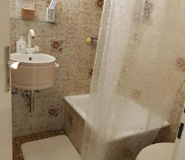 Bodolz Apartment | Bright Dach-Ferienzimmer: Family-Friendly & Pet Welcome!