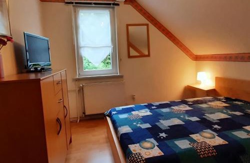 Wildemann Apartment | Cozy Holiday Flat in Harz, Ideal for Ski Lovers and Families