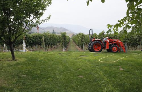 Okanagan-Similkameen Hotel | Explore the Sonora Desert Inn: Family-Friendly Getaway