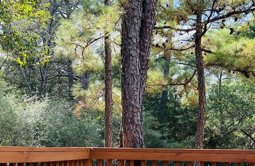 Circle D-KC Estates Cabin | Discover Sophie's Cabin: Family-Friendly Retreat near Bastrop Lake