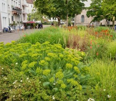 Baden Baden Old Town Apartment | Modern Sophienstrasse Appartement: 4-Star Family Retreat