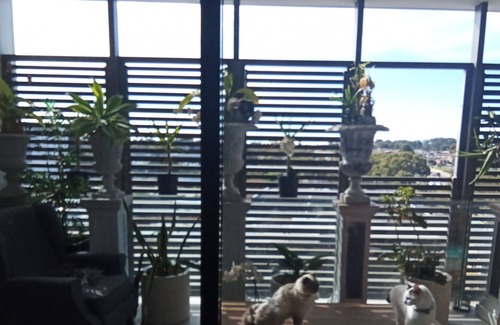 Bankstown Apartment | Sophiscated, classy with a penthouse feel 2 bdrm apartmnt