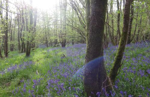 Newcastleton Bed & Breakfast | Exceptional Sorbietrees B&B: Family-Friendly Stay with Breakfast