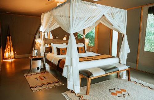 Mara North Conservancy Other | Experience Soroi Luxury Migration Camp: Ideal for Families