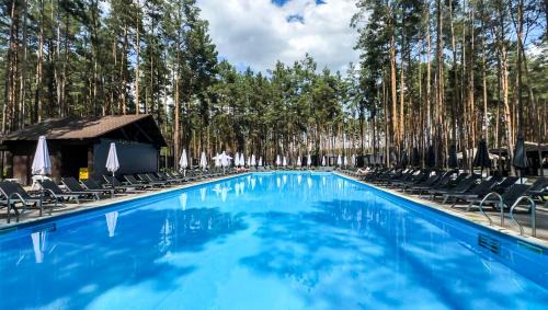 Kyiv Oblast Hotel | Relax at Sosnovel: Pet-Friendly Oasis with Ocean Views