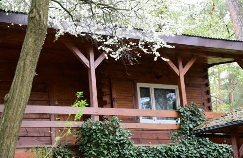 Sarnaki House | Pet-Friendly Sosnowy Domek – Guest Rated 9.9/10