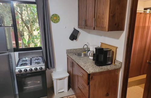 Villas Ana Maria Apartment | Pet-Friendly Sosua Deluxe Studio with Pool Access