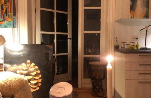 Osterbro Apartment | Soulful 3 Room apartment in Østerbro near nature