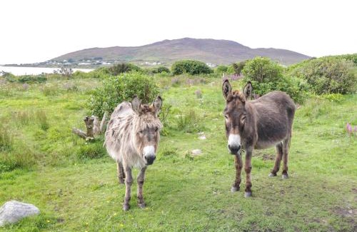 Achill Sound House | Pet & Child Friendly Getaway at Sound Cottage