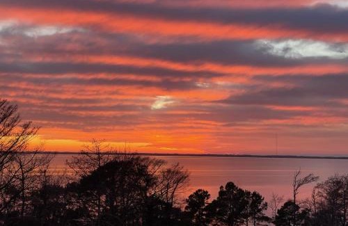 Duck House | Sound Dreams