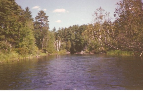 Roscommon House | South Branch Au Sable River House